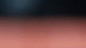 Duelo entre Alcaraz-Zverev fue suspendido más de una hora por una invasión de abejas en Indian Wells