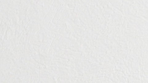 Ramón Ayala, "El Rey del Acordeón"