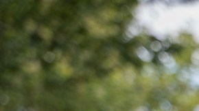 En julio y agosto estarán disponibles seis semanas de programación para estudiantes de secundaria y siete semanas para estudiantes de  primaria