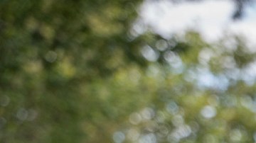 En julio y agosto estarán disponibles seis semanas de programación para estudiantes de secundaria y siete semanas para estudiantes de  primaria