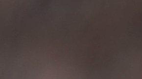 Este lunes se anunció la campaña 'Viviendas Ahora' al frente del City Hall en el Bajo Manhattan