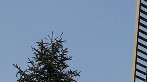 Agentes de la UCO, a la salida este miércoles de la sede de la Federación Española de Fútbol.