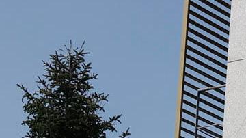 Agentes de la UCO, a la salida este miércoles de la sede de la Federación Española de Fútbol.