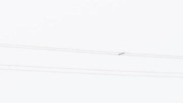 Puente colapsado en Baltimore