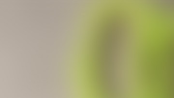 Tijeras recuperadas en la escena en Queens (NYC).