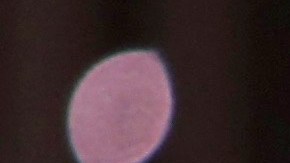 Cristian Castro, cantante mexicano.