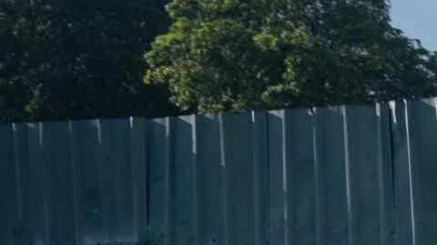 Los criminales fueron directo al barrio donde un brujo vudú les dijo que habían lanzado una maldición contra el hijo del líder.