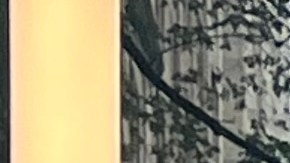 La MTA aprueba "tarifa de congestión" que impone peajes a vehículos para entrar a Manhattan