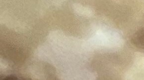 Latinos de NY admiten que desconocen lo que comen, mientras avanzan iniciativas para erradicar ingredientes peligrosos de los alimentos