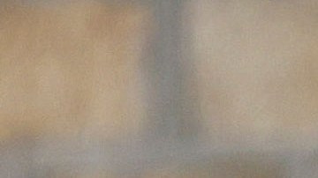 Gisele Bündchen y Tom Brady