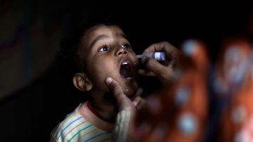 La vacuna contra la poliomielitis  se aplica en un 93.2% en los niños latinos.