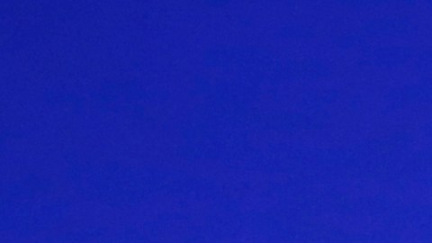 Elon Musk aseguró que aún no sabe a qué candidato presidencial apoyará en las elecciones de EE.UU.