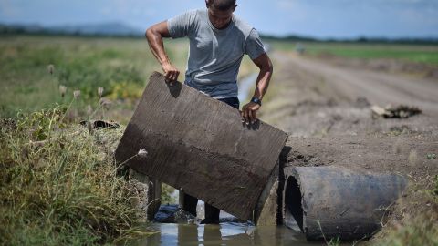 Agricultor en Puerto Rico