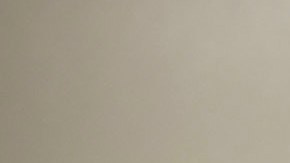 Fuga de médicos Puerto Rico