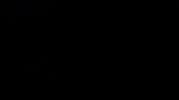 Andre Ward, exboxeador y campeón mundial del peso semipesado.