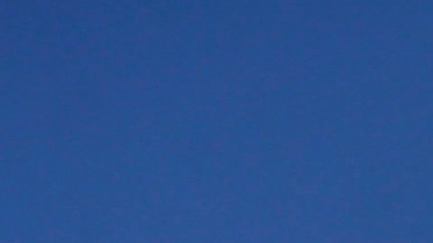 El "Paseo Boricua" en Humboltd Park, Chicago