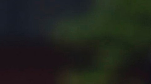Los agentes solo describieron al sospechoso como un sujeto de unos 70 años.