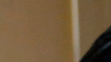 Jose Ines Garcia Zarate, San Francisco, California