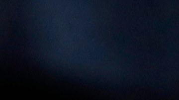 Hincha de Bélgica en la Eurocopa de 2016.