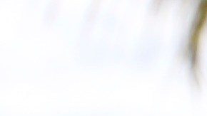 Las cinco muertes marcan uno de los peores asesinatos en masa en Hawaii desde los "asesinatos de Xerox".