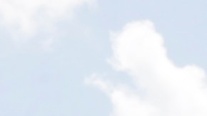 La policía de Miami-Dade no han dado a conocer el motivo del crimen.