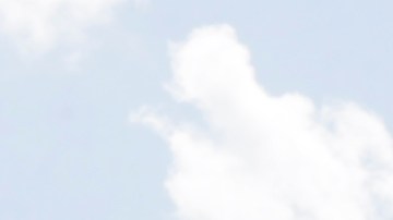 La policía de Miami-Dade no han dado a conocer el motivo del crimen.