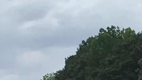 Más de 40 estudiantes de prekínder y 11 adultos de la escuela primaria Tom Green estaban de regreso a la escuela tras la excursión en el zoológico.