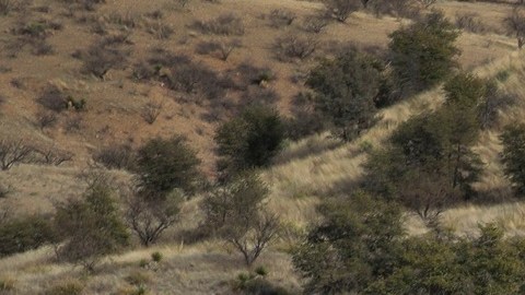 En Arizona se han implementado varias leyes contra migrantes.
