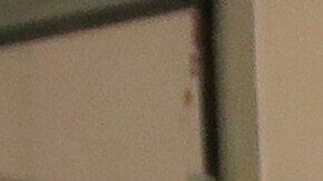 Primarias presidenciales en P.R.