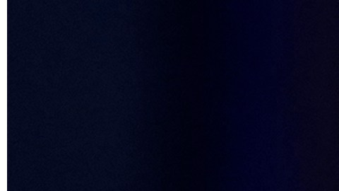 Con Biden y Trump convertidos prácticamente en candidatos, empieza ahora una intensa campaña de ocho meses.