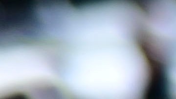 Elecciones Puerto Rico