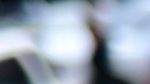 Elecciones Puerto Rico
