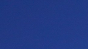 Simpatizantes de la estadidad en Puerto Rico