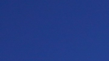 Simpatizantes de la estadidad en Puerto Rico