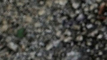 Cientos de personas acudieron a una vigilia por la familia en San Francisco, incluyendo el alcalde de San Francisco y el jefe de policía.