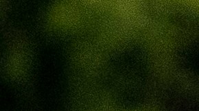 Novak Djokovic y Goran Ivanisevic en las canchas de entrenamiento de Wimbledon en 2021.