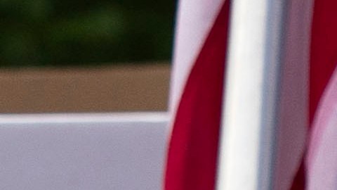 Cubanos en Florida se manifestaron en apoyo a las protestas.