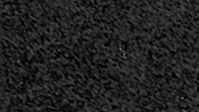 WWE ingresará a su Salón de la Fama al histórico boxeador Muhammad Ali