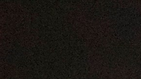 Meyden presuntamente agregó la droga a los batidos de mango de las niñas antes de servírselo.