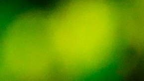 El exbodeador respetó la decisión tomada por el Canelo Álvarez sobre abandonar PBC.