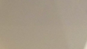 Las elecciones primarias en Nueva York son el 2 de abril.