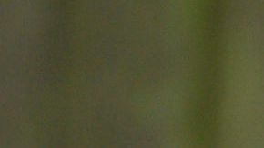 Kate Middleton, duquesa de Cambridge.