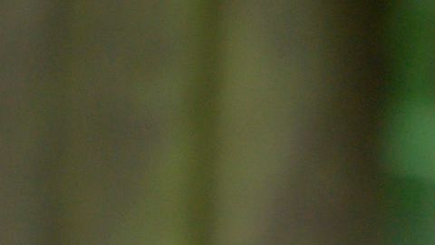 Kate Middleton, duquesa de Cambridge.
