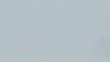 Las autoridades del condado estaban esperando que los funcionarios federales se apersonaran a la ciudad para poder iniciar las pesquisas.