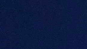 Pence señaló el reciente cambio de rumbo de Trump sobre la cuestión de una posible prohibición de TikTok.