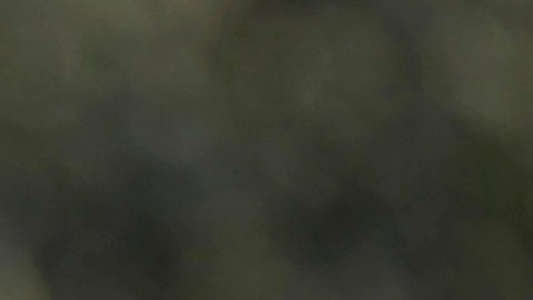 Hamás eleva la cifra de rehenes muertos "por bombardeos israelíes" a 70, aunque Israel solo ha confirmado la muerte de una treintena.
