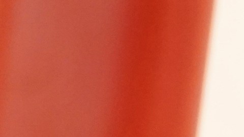 Halle Berry en los premios Oscar 2023