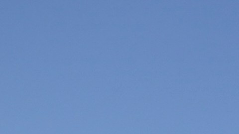 Número de detenidos en cárceles migratorias de EE.UU. sigue en aumento: casi 40,000 en custodia
