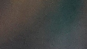 Santiago Giménez, jugador mexicano.