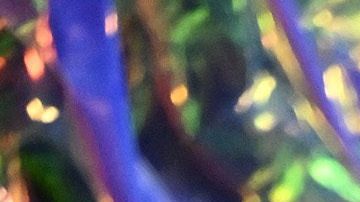 Shakira posando con sus hijos Sasha y Milan en los MTV Video Music Awards